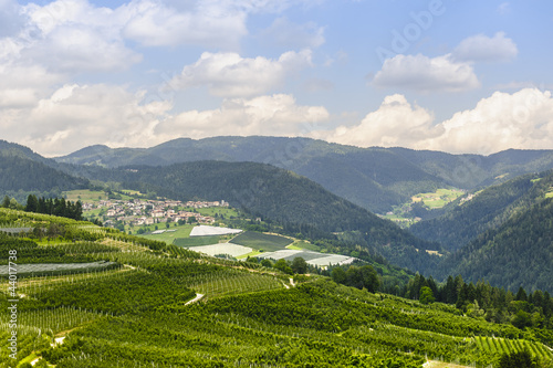 Val di Non (Trento)