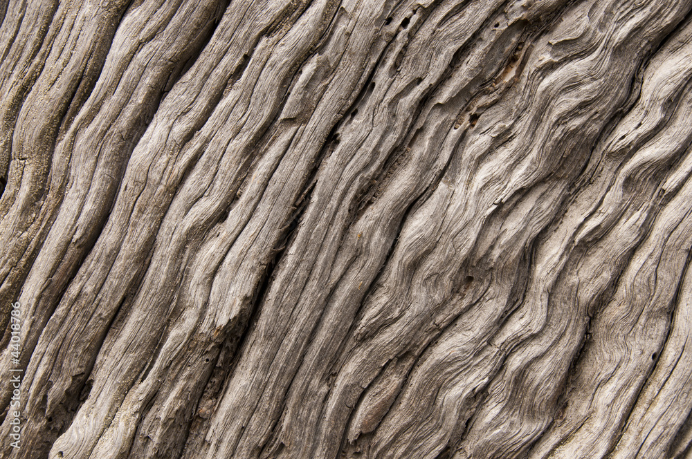 Old wood texture Old wood texture
