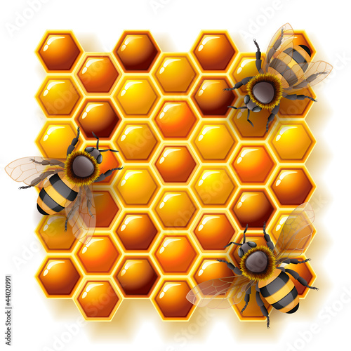 Fototapeta Naklejka Na Ścianę i Meble -  bees and honey