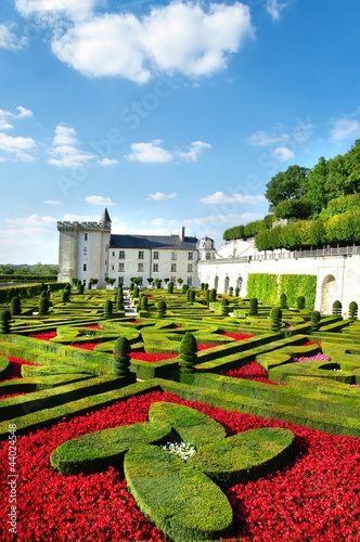 beautiful castles of Loire valley - Villandry #44024548