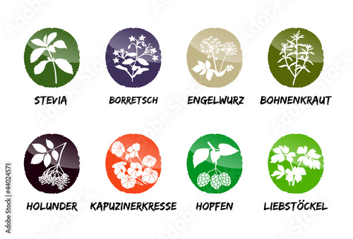 Gewürze Buttons Vektor