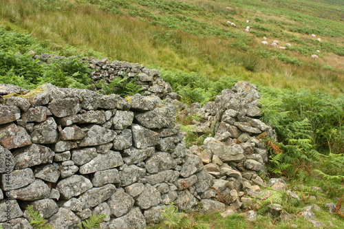 Photos dry stone sheepfold in Cheviot Hill, England