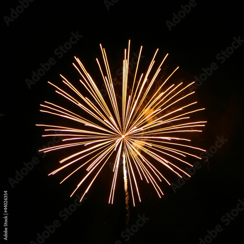 Yellow Fireworks