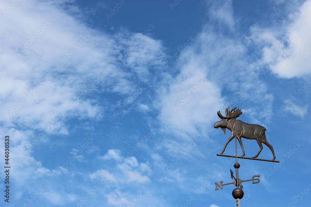 Bull moose weathervane