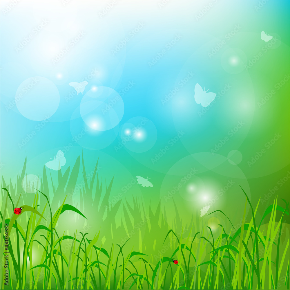 Obraz premium Summer glade