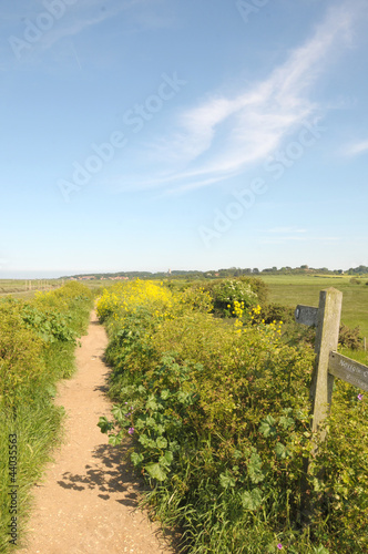 Coastal path at Morston Quay, North Norfolk photo