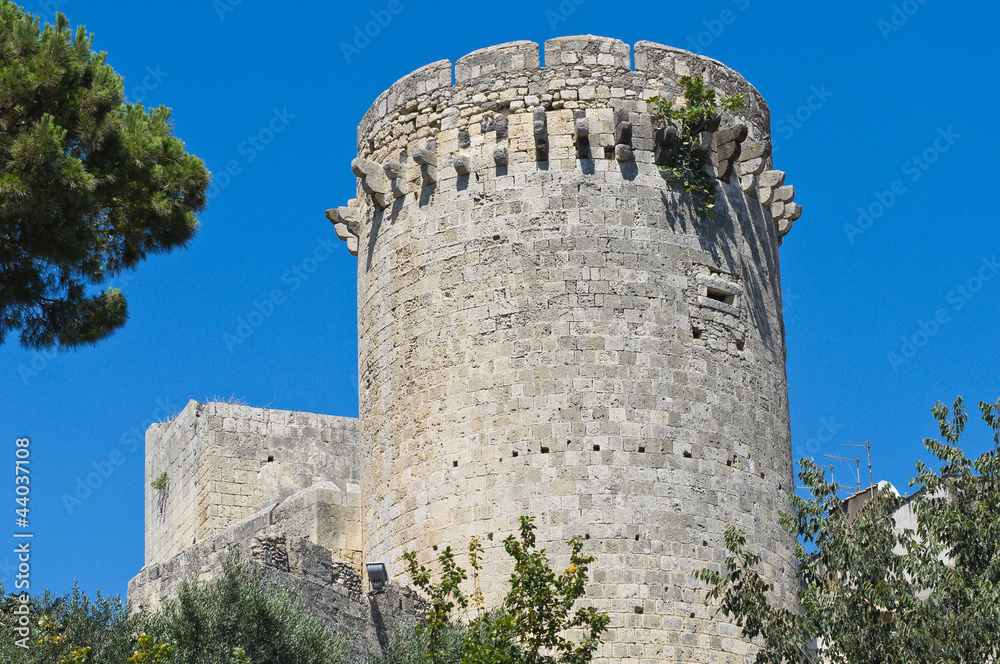 Tower of Matilde of Canossa. Tarquinia. Lazio. Italy.