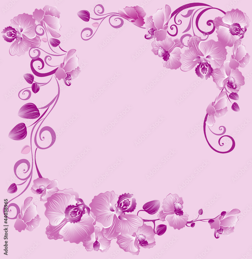 Floral border with orchids for your design