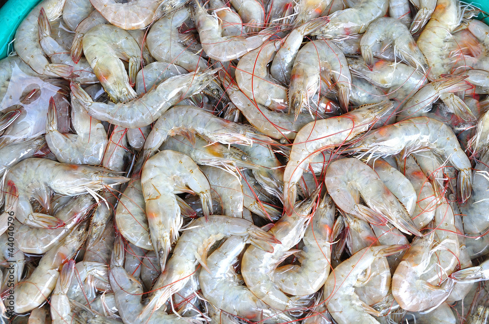 Shrimps The fish market Shrimps The fish market