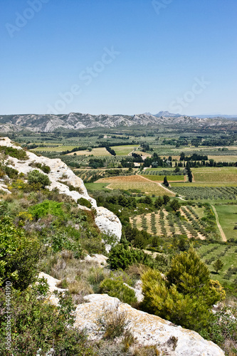 Wallpaper Mural The Provençal Countryside Torontodigital.ca