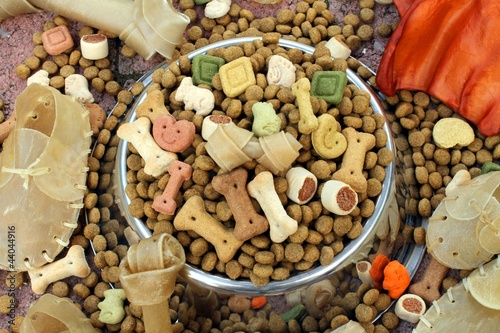Quadro su tela Dog Candy ;)