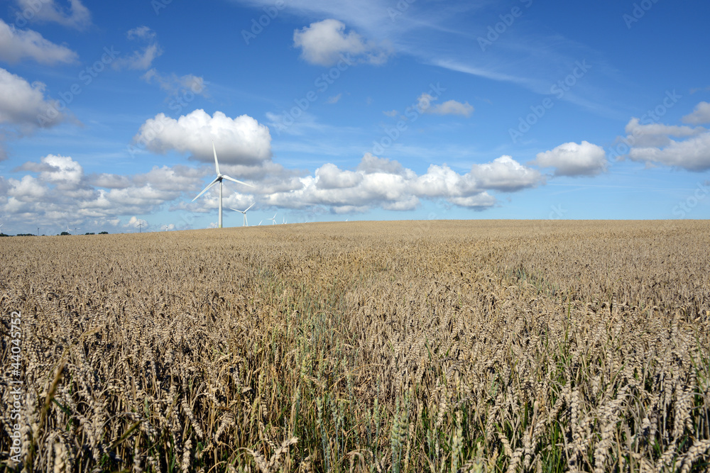 Obraz premium Norddeutschland