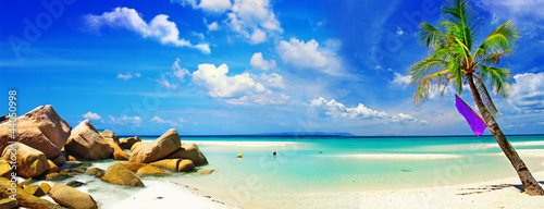 beautiful panorama of tropical beach © Freesurf