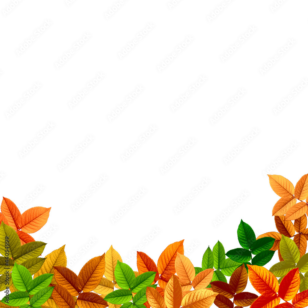 Beautiful Autumn Natural Background
