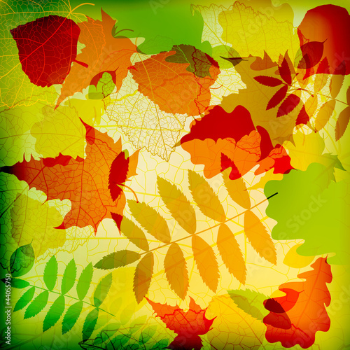 Abstract cute autumnal background vector eps 10