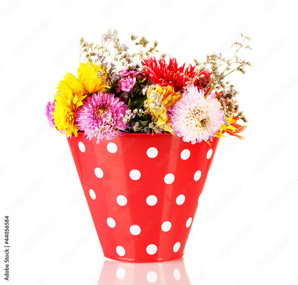 Red bucket with white polka-dot with flowers isolated on white Red bucket with white polka-dot with flowers isolated on white