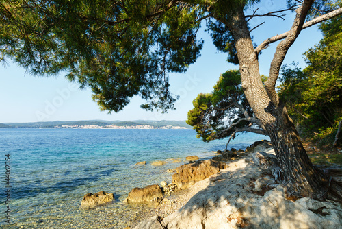Fototapeta Naklejka Na Ścianę i Meble -  Summer stony beach (Croatia)