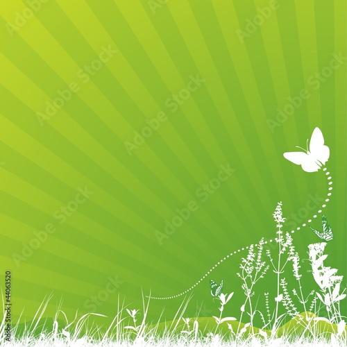 Butterfly and Meadow