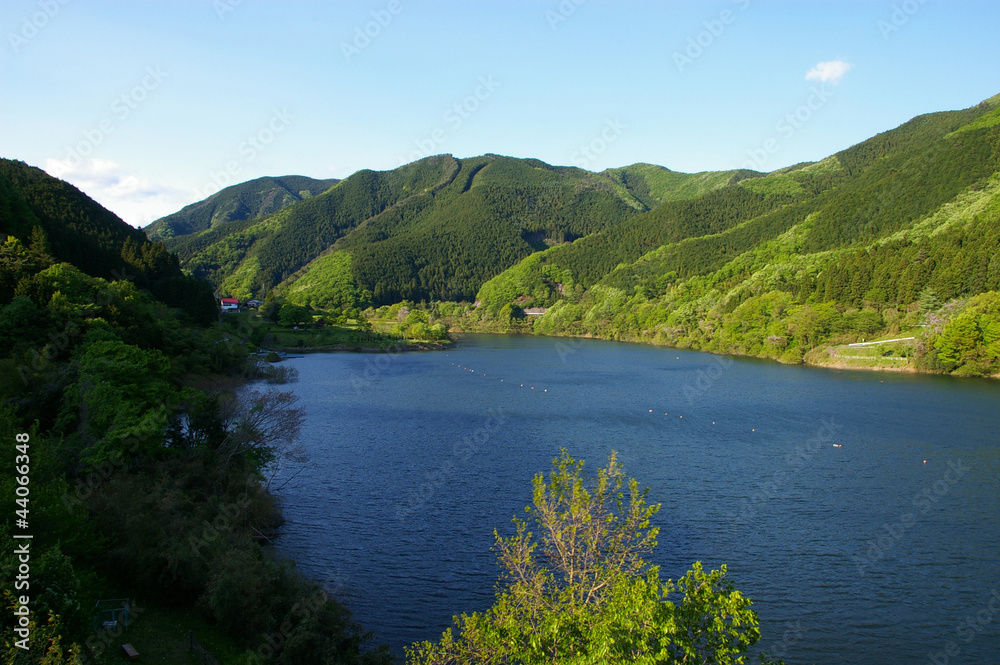 初夏の梅田湖３