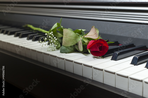 Love in music