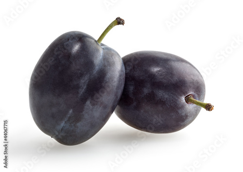 Two plums isolated on white background with clipping path
