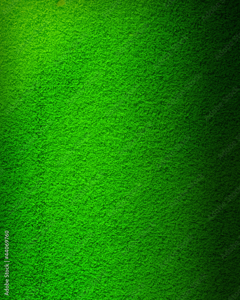 grass background grass background