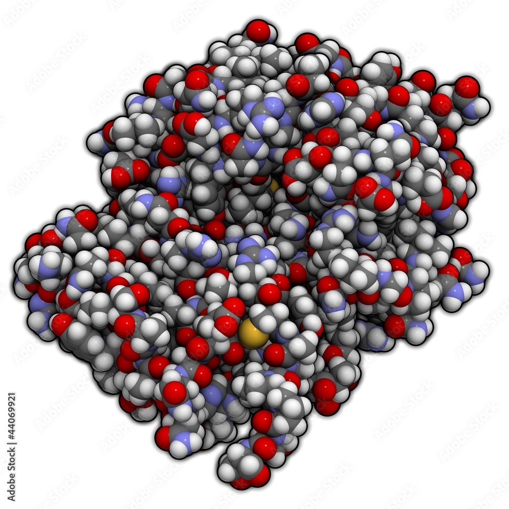 Ricin vaccine molecule - chemical structure Ricin vaccine molecule - chemical structure