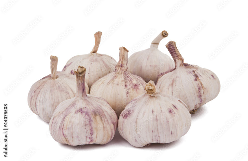 garlic isolated