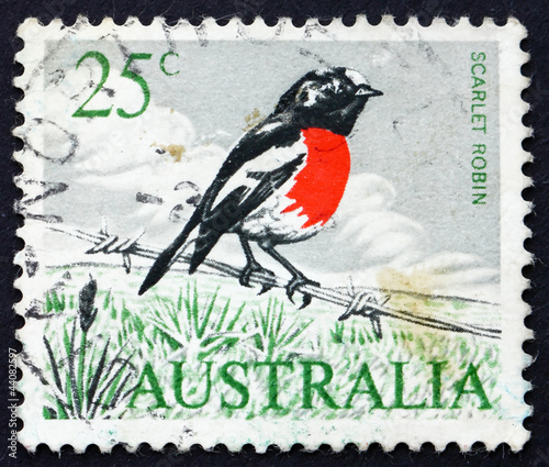 Postage stamp Australia 1966 Scarlet Robin, Passerine Bird photo