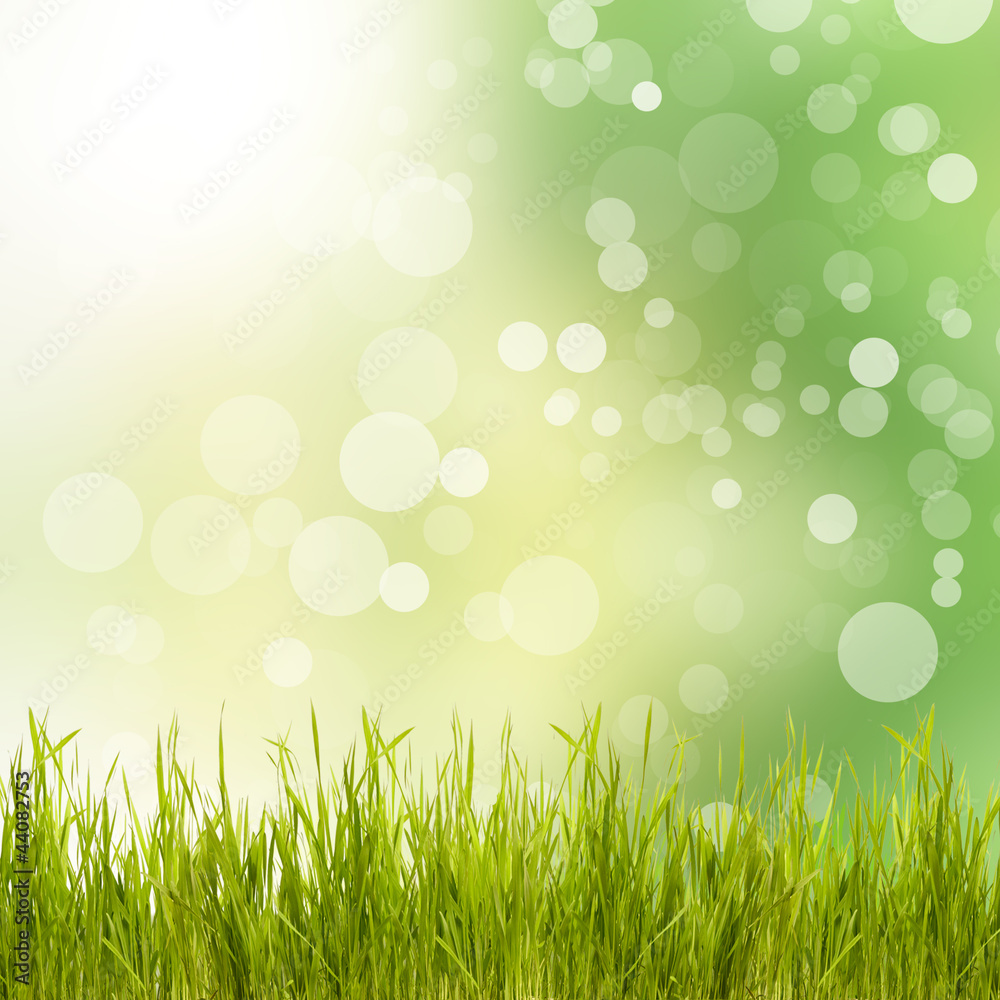 Natural green background with grass
