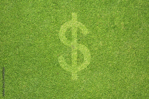 Money icon on green grass texture and  background