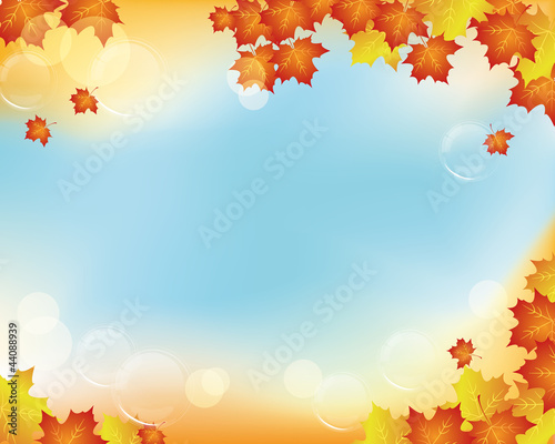 maple background
