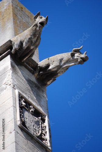 gargouilles animaux à l'église saint-pierre d'avignon