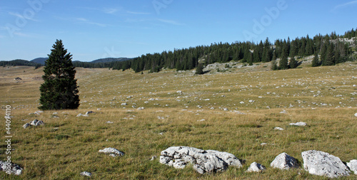 Hauts Plateaux du Vercors photo