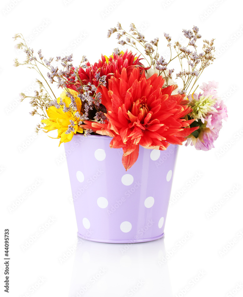 Purple bucket with white polka-dot with flowers isolated