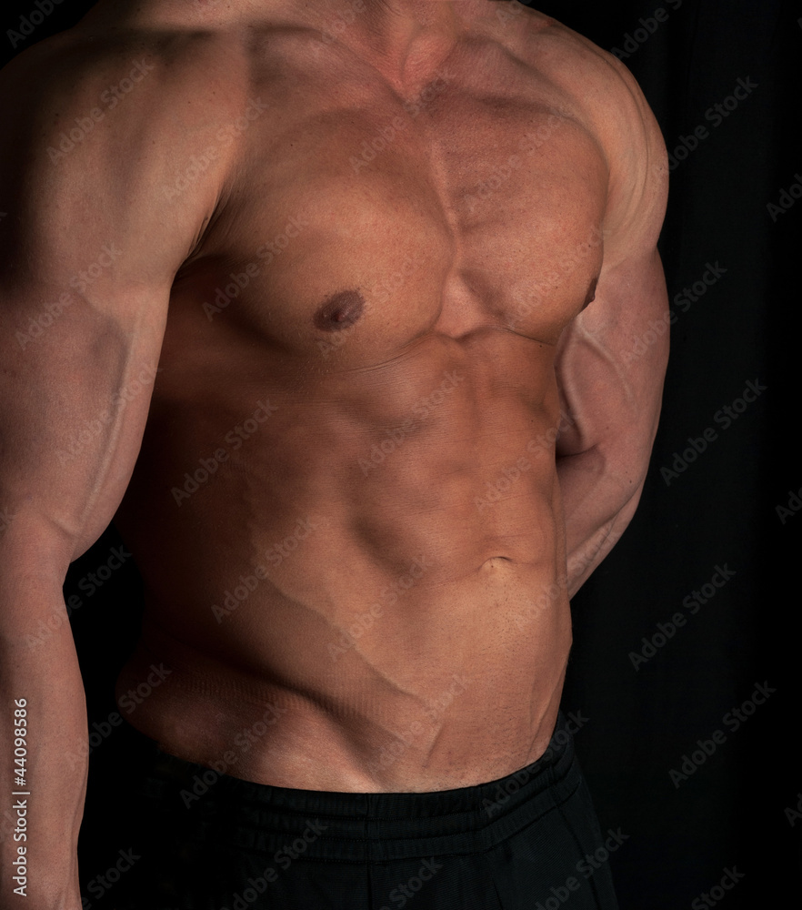 bodybuilder bodybuilder