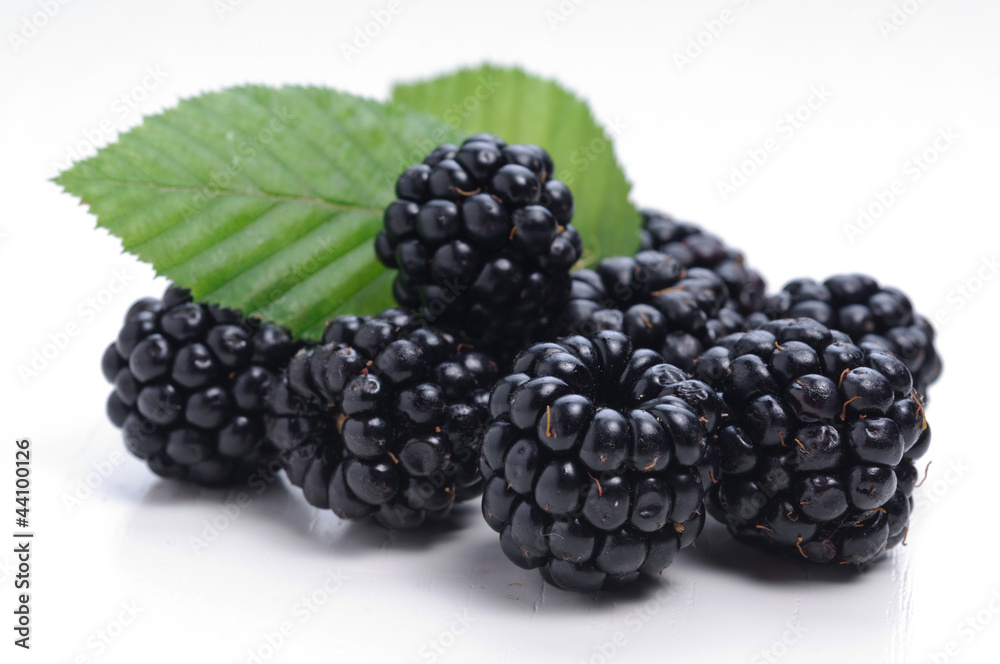 Blackberries with leaf Blackberries with leaf