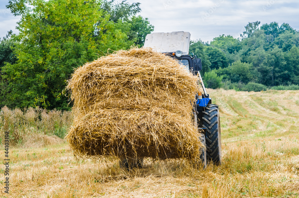 Obraz premium tractor with a hay