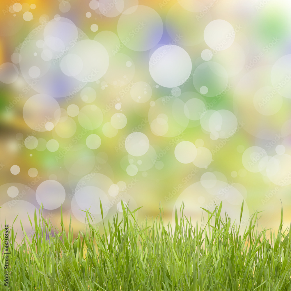 Obraz premium Natural background with grass