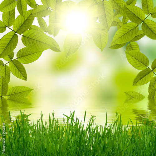 Natural summer green background with sun
