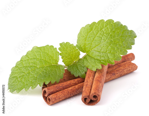 Cinnamon sticks and fresh mint leaf
