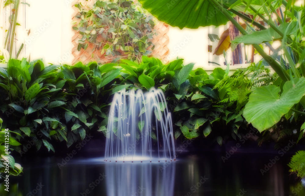 Tranquil Fountain