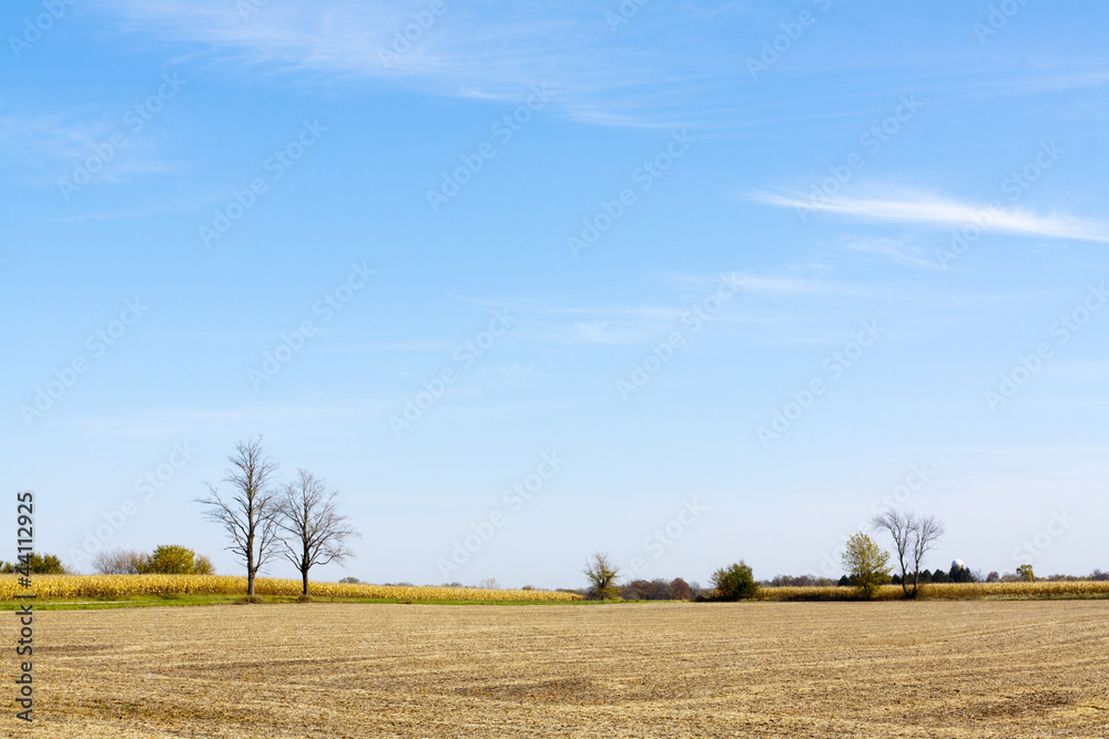 Fototapeta premium Farmland