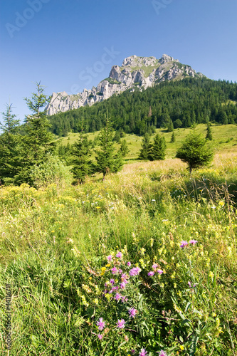 Stony peak "Big Rozsutec" - Little Fatra hills - Slovakia © Jaroslav Machacek