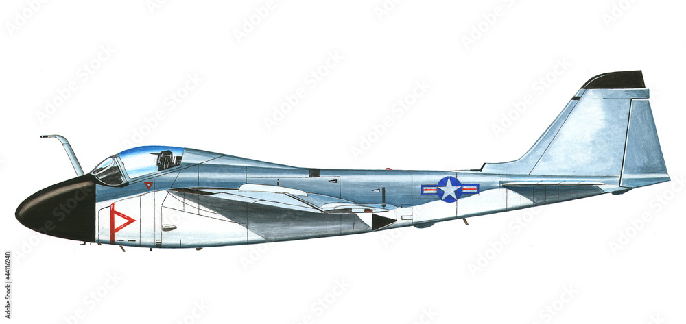 Fototapeta premium plane