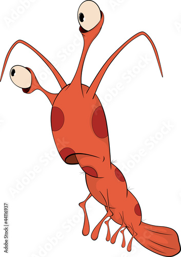 Red shrimp cartoon