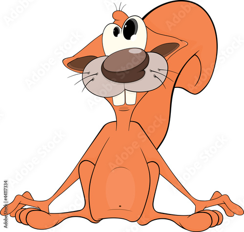 The squirrel cartoon
