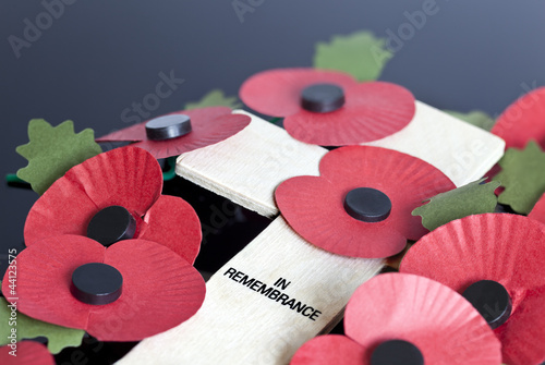 Poppy Day