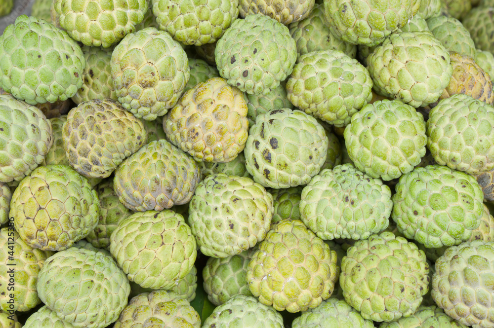 Fototapeta premium custard apple