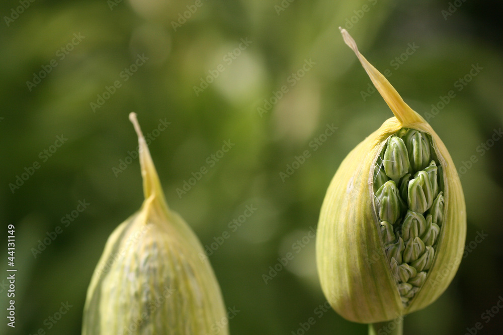 Aufbruch Aufbruch